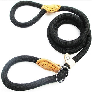 Buy black Rottweiler Chain  Leash Slip Collar
