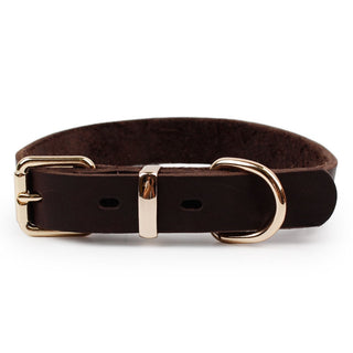 Rottweiler Grade Leather  Collar