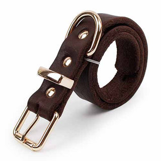 Buy brown Rottweiler Grade Leather  Collar