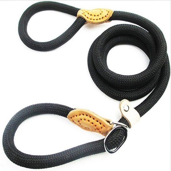 Rottweiler Chain  Leash Slip Collar