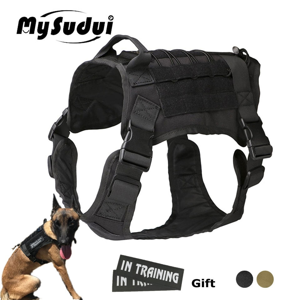 Rottweiler Tactical Harness Military Army Tactical Service Dog | Rottmart